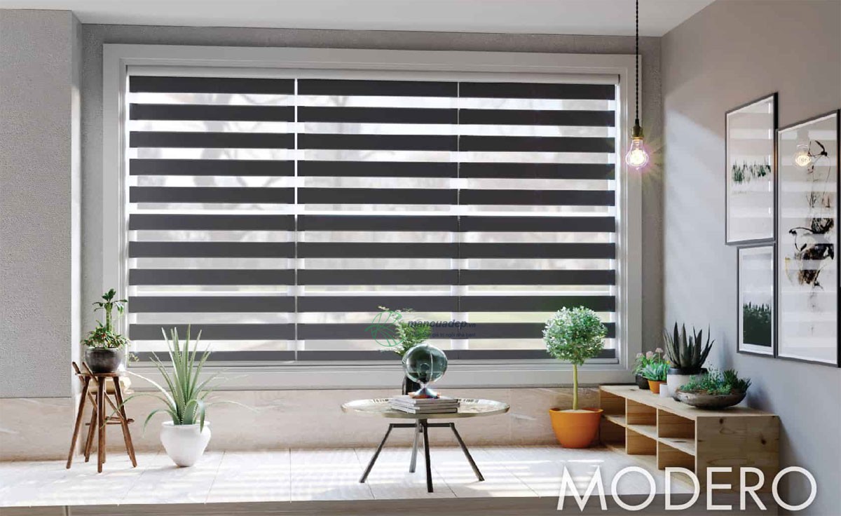 Mành Cầu Vồng Modero Mành Cầu Vồng Modero